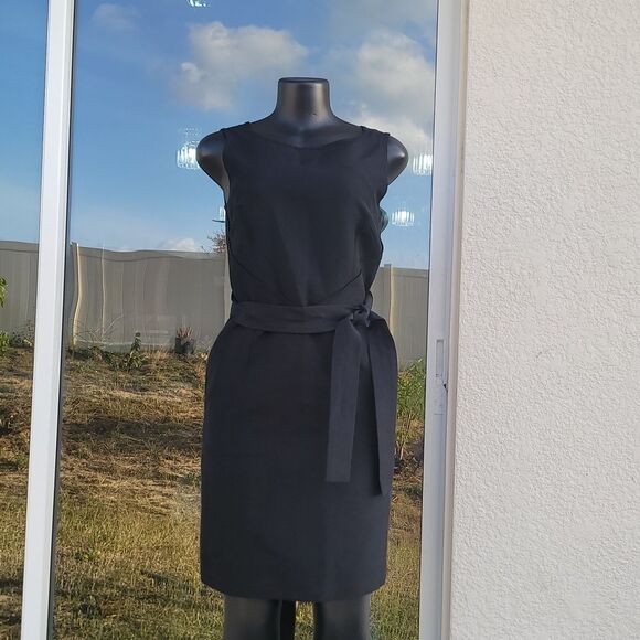 BRAND NEW TALBOTS PETITES ELEGANT BOAT SLEVELESS DRESS - Picture 5 of 16